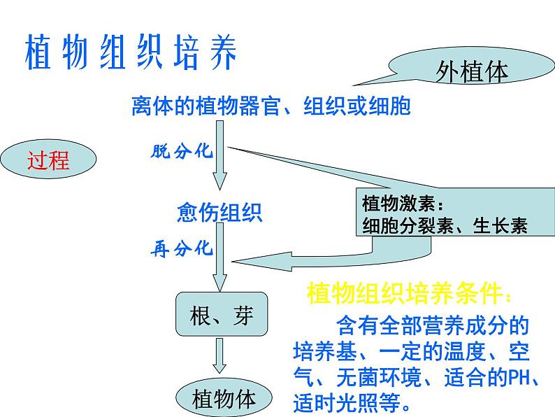 生物：2.2《现代生物技术在育种上的应用》课件（1）（新人教版选修2）02