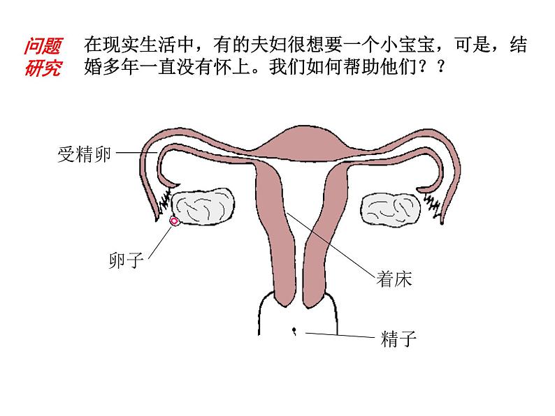 生物：1.4《生殖健康》课件2（新人教版选修2）03