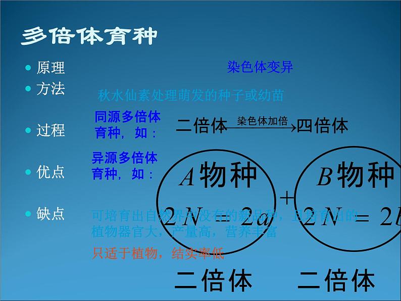 生物：2.2《现代生物技术在育种上的应用》课件（2）（新人教版选修2）07