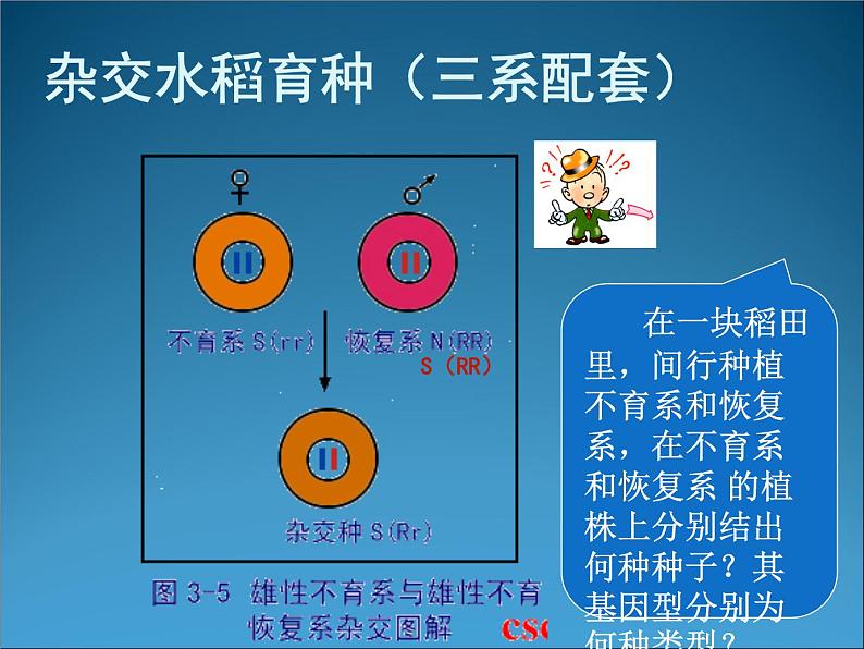 生物：2.1《农业生产中的繁殖控制技术》课件2（新人教版选修2）第5页