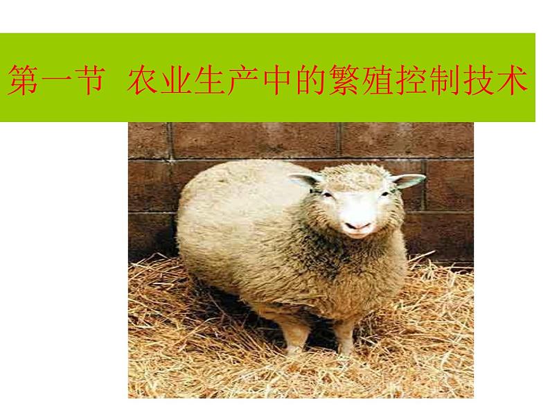 生物：2.1《农业生产中的繁殖控制技术》课件1（新人教版选修2）01