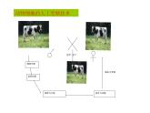 生物：2.1《农业生产中的繁殖控制技术》课件1（新人教版选修2）