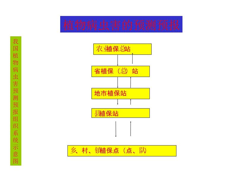 生物：2.3《植物病虫害的防治原理和方法》课件1（新人教版选修2）04