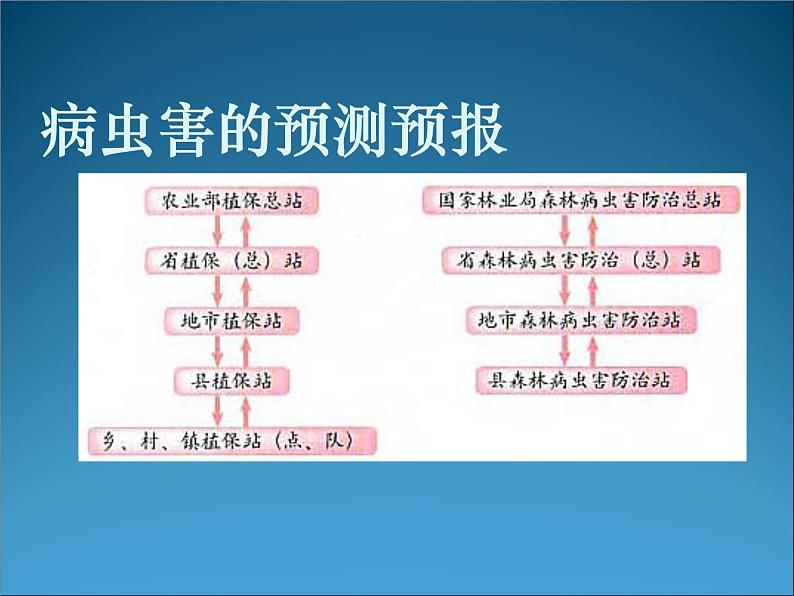 生物：2.3《植物病虫害的防治原理和方法》课件2（新人教版选修2）06