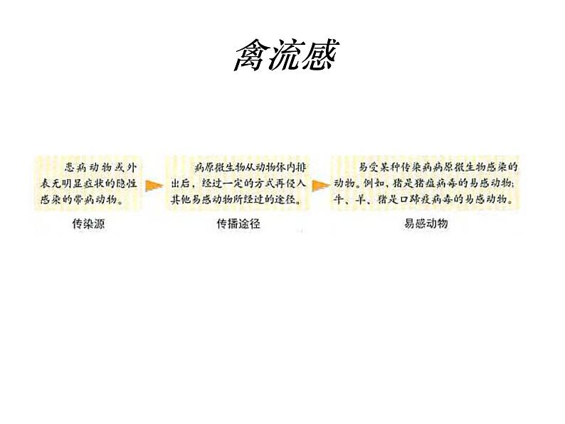 生物：2.4《动物疫病的控制》课件（2）（新人教版选修2）06