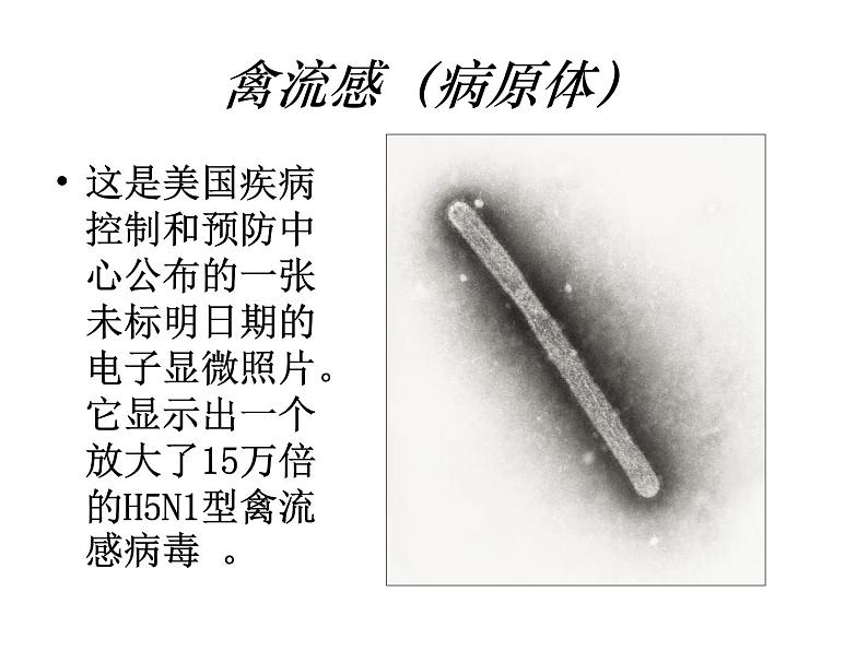 生物：2.4《动物疫病的控制》课件（2）（新人教版选修2）08