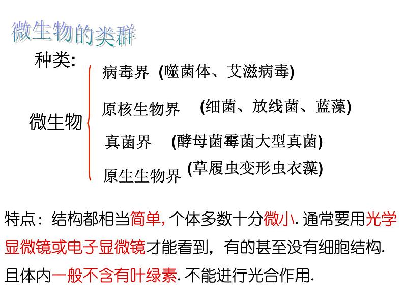 生物：3.1《微生物发酵及其应用》课件1（新人教版选修2）02