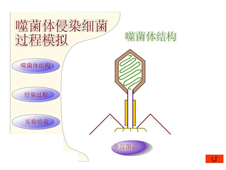 生物：3.1《微生物发酵及其应用》课件1（新人教版选修2）03