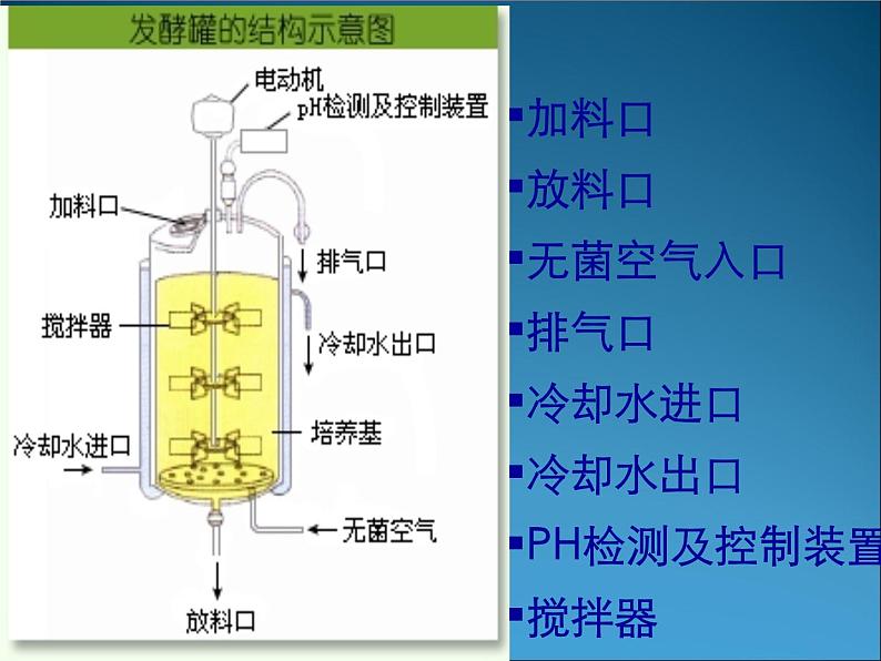 生物：3.1《微生物发酵及其应用》课件2（新人教版选修2）06