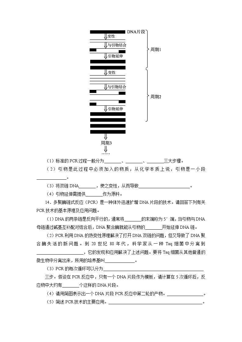 生物人教版选修1自我小测：专题5课题2　多聚酶链式反应扩增DNA片段 Word版含解析03