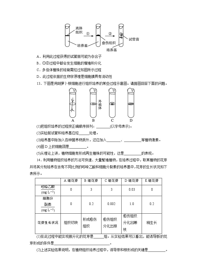 生物人教版选修1自我小测：专题3课题1　菊花的组织培养 Word版含解析03