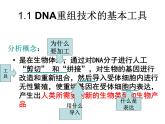 生物：专题1《基因工程》课件（1）（新人教版选修3）