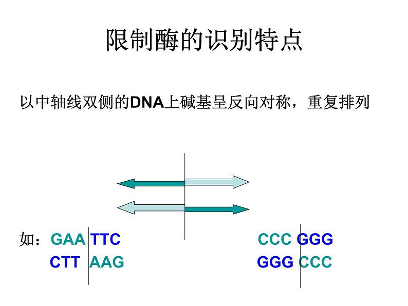 生物：专题1《基因工程》课件（1）（新人教版选修3）06