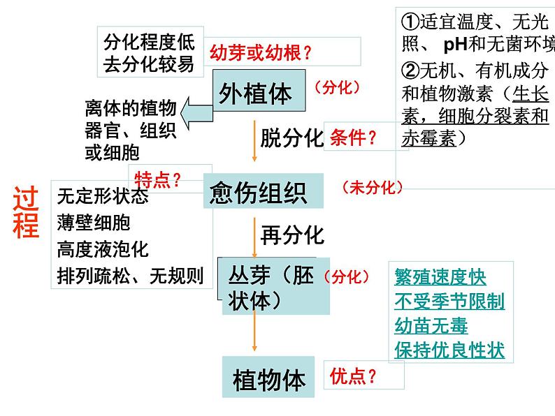 生物：2.1《植物细胞工程》课件（4）（新人教版选修3）03