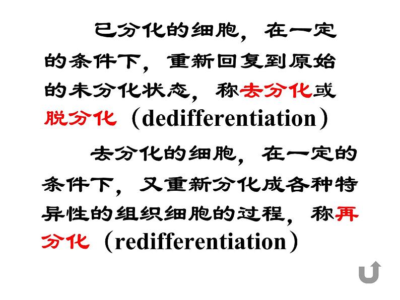 生物：2.1《植物细胞工程》课件（1）（新人教版选修3）06