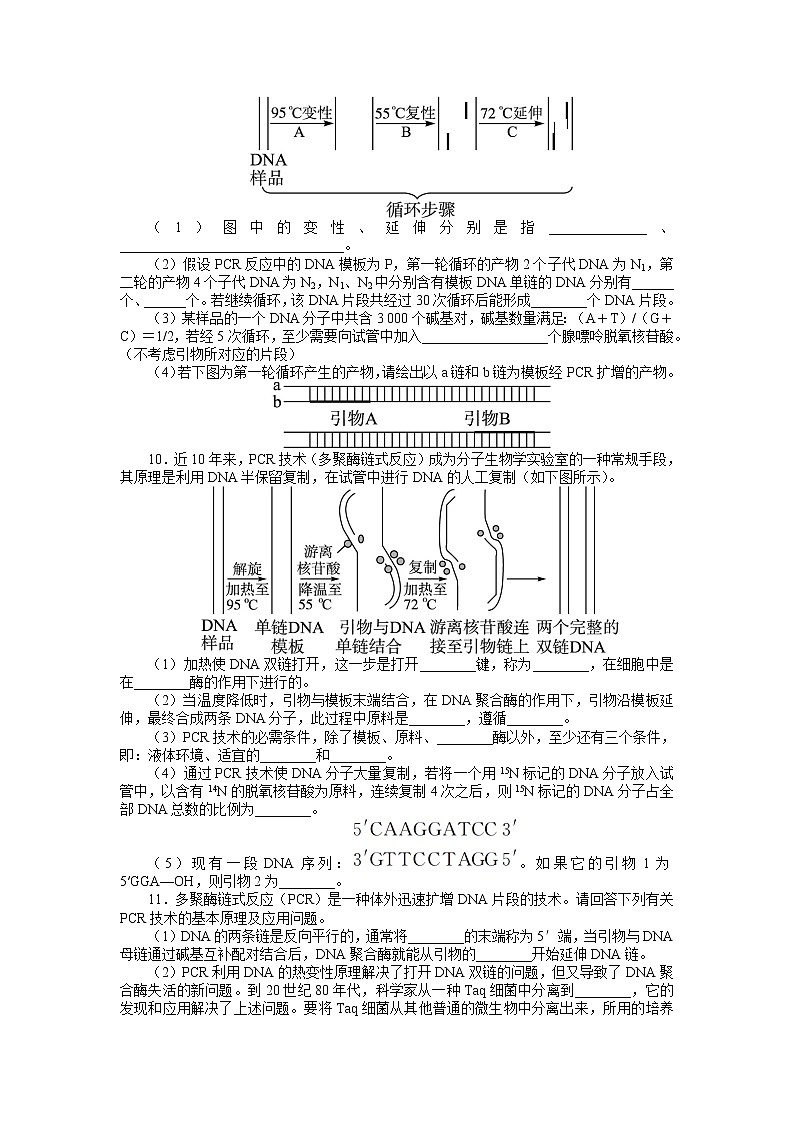 生物人教版选修1课后训练：专题5课题2　多聚酶链式反应扩增DNA片段 Word版含解析第2页