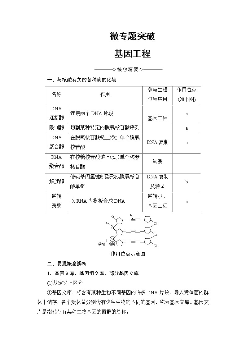 高中生物（人教版）选修3同步教师用书：专题1 微专题突破 基因工程第1页