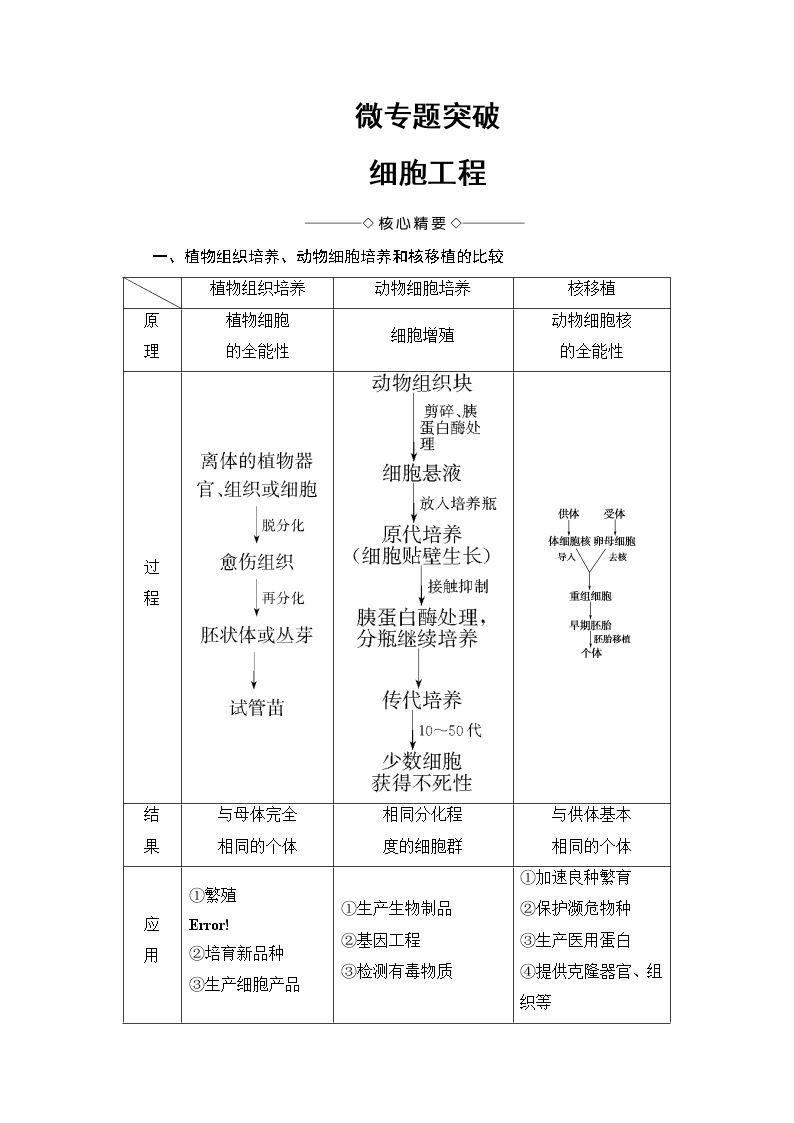 细胞工程知识点总结图片