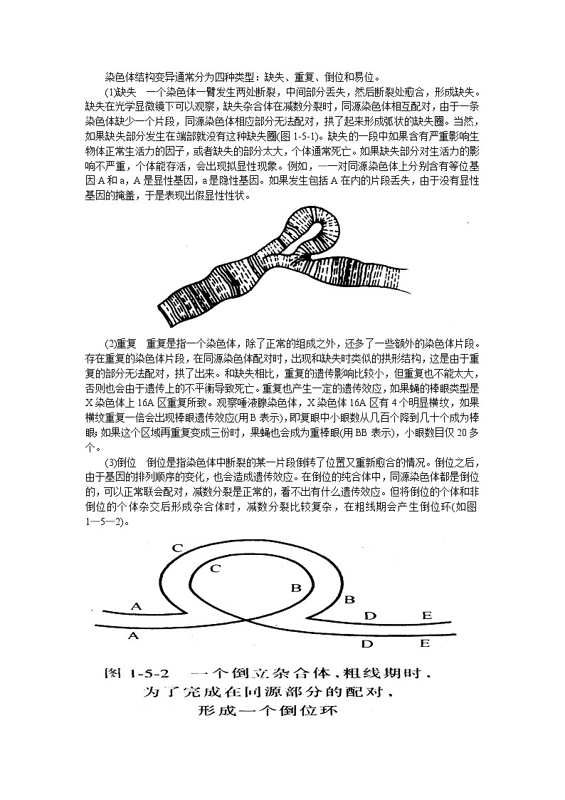 高中生物竞赛辅导资料：第5章  遗传学与进化03