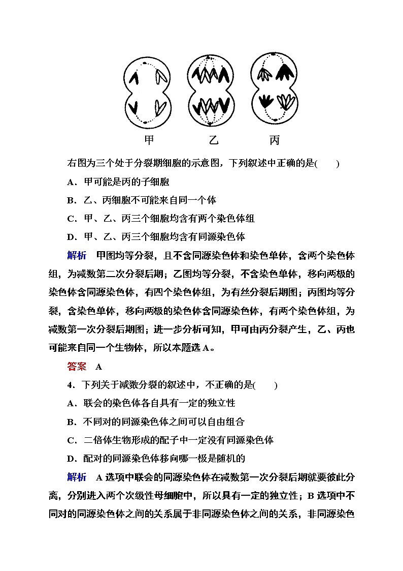新人教版高中生物《基因和染色体的关系》单元测评(二)02