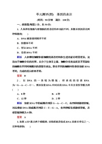 高中人教版 (新课标)第四章 基因的表达综合与测试复习练习题