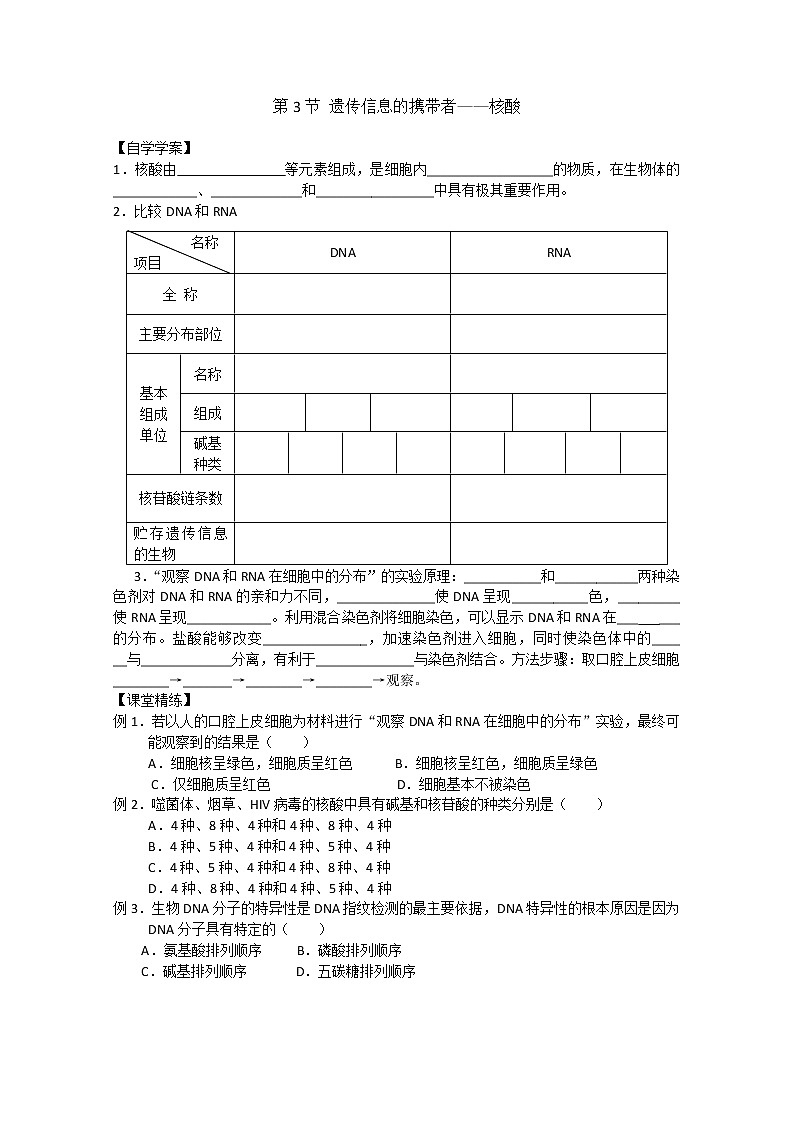 生物同步学案：2.3《遗传信息的携带者——核酸》（新人教版必修1）01
