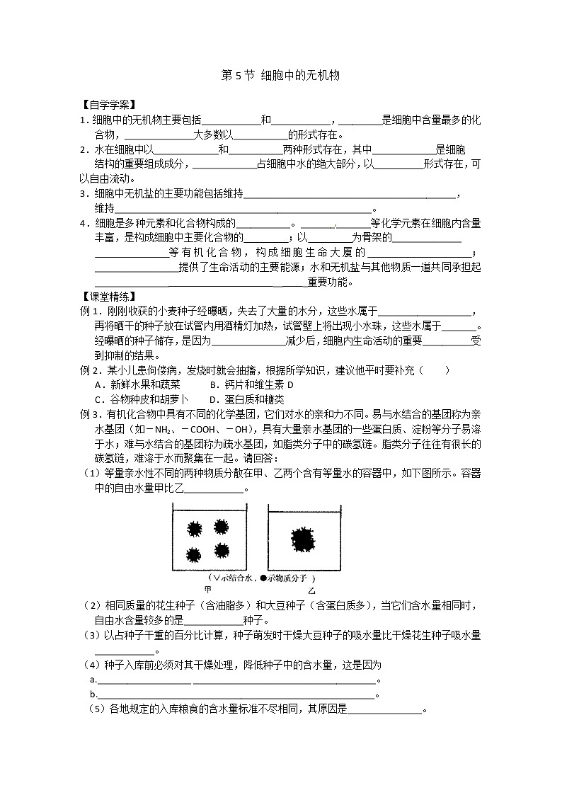 生物同步学案：2.5《细胞中的无机物》（新人教版必修1）01