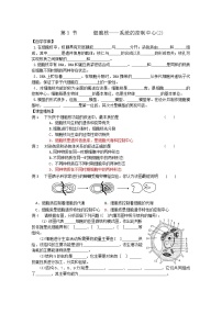 高中生物人教版 (新课标)必修1《分子与细胞》第三章 细胞的基本结构第3节 细胞核──系统的控制中心学案设计