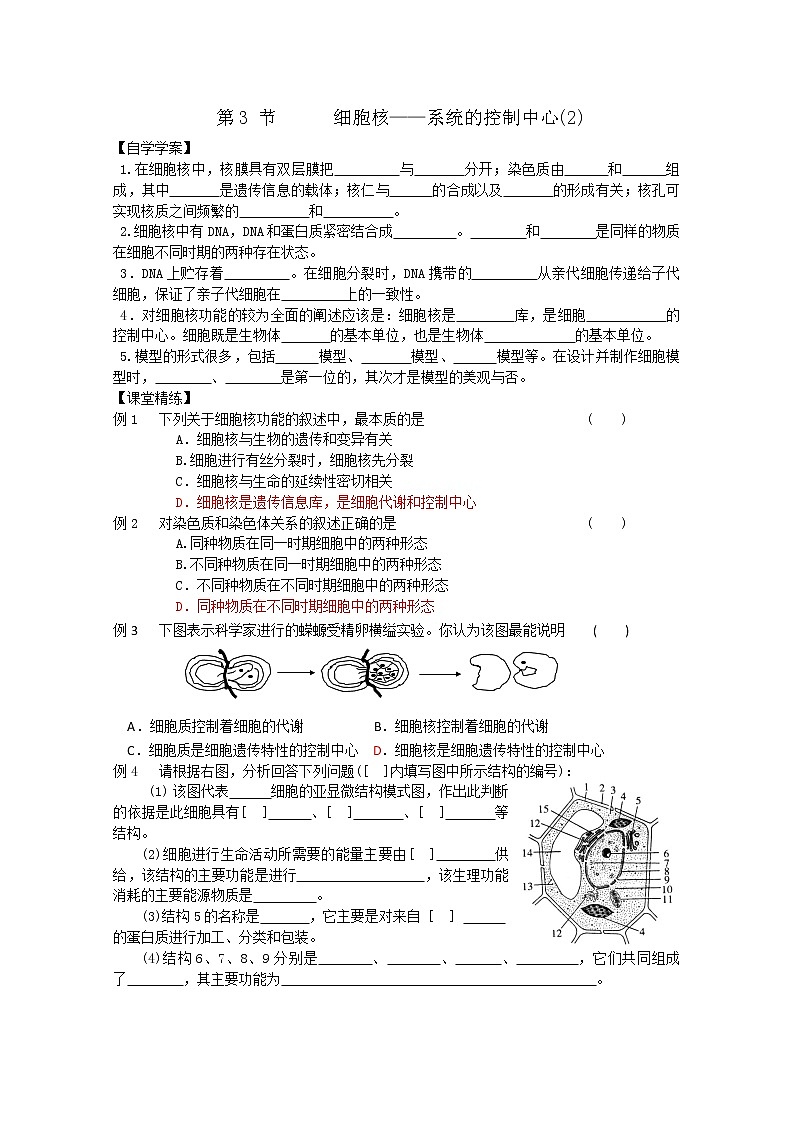 生物同步学案：3.3《细胞核——系统的控制中心》（2）（新人教版必修1）01
