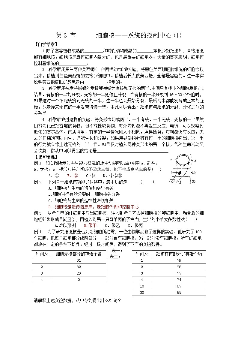 生物同步学案：3.3《细胞核——系统的控制中心》（1）（新人教版必修1）01