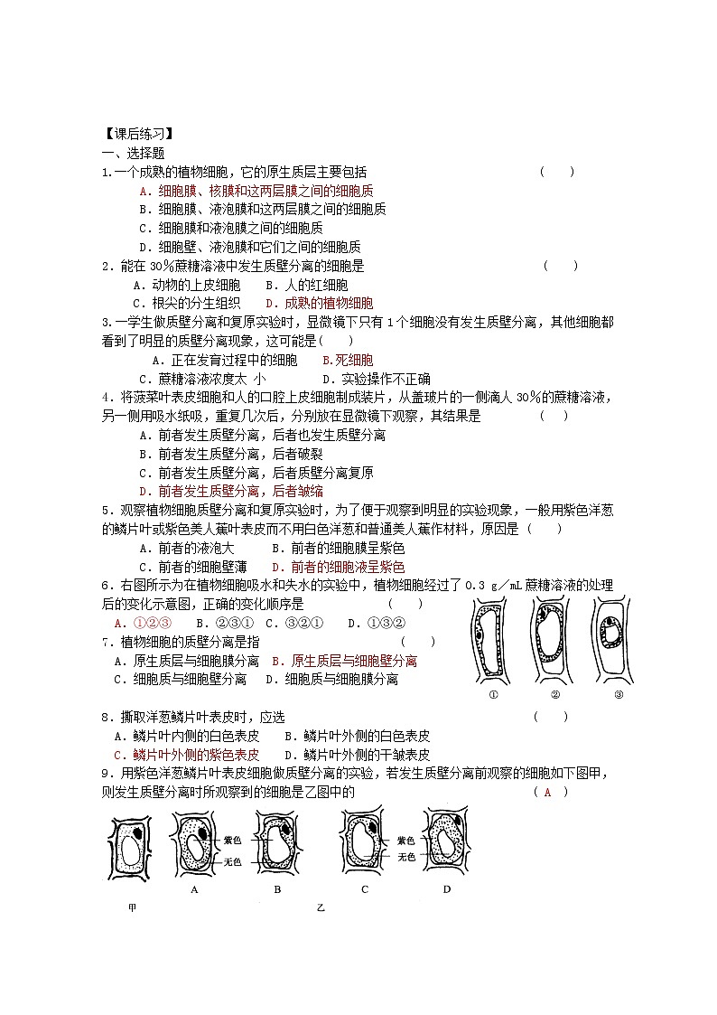 生物同步学案：4.1《物质跨膜运输的实例》（2）（新人教版必修1）02