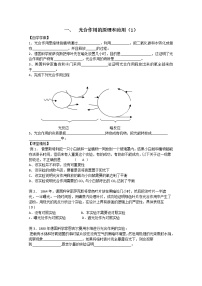 高中生物人教版 (新课标)必修1《分子与细胞》二 光合作用的原理和应用[55]学案设计