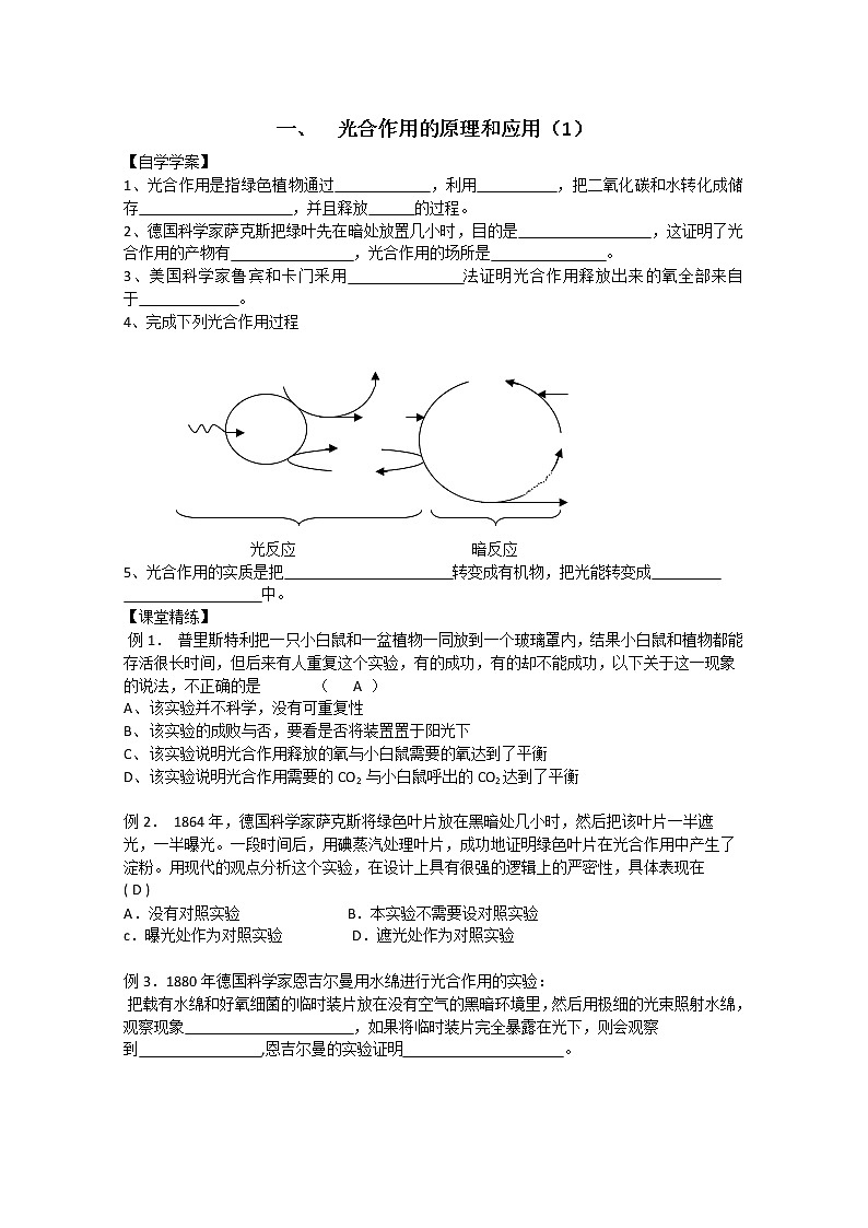 生物同步学案：5.4《光合作用的原理和应用》（1）（新人教版必修1）01