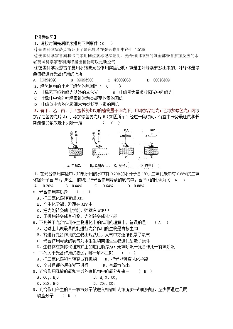 生物同步学案：5.4《光合作用的原理和应用》（1）（新人教版必修1）02