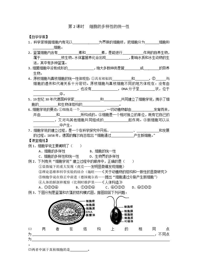 生物同步学案：1.2《细胞的多样性的统一性》（新人教版必修1）01
