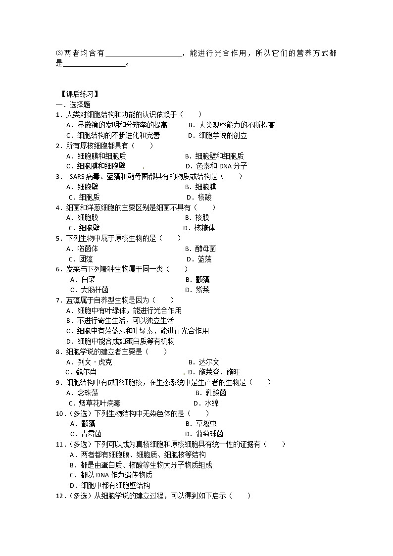 生物同步学案：1.2《细胞的多样性的统一性》（新人教版必修1）02