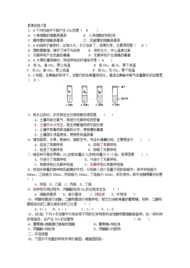生物同步学案：5.3《ATP的主要来源—细胞呼吸》（2）（新人教版必修1）02
