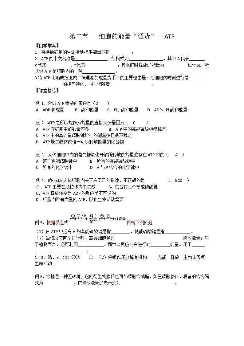 生物同步学案：5.2《细胞的能量“通货”—ATP》（新人教版必修1）01