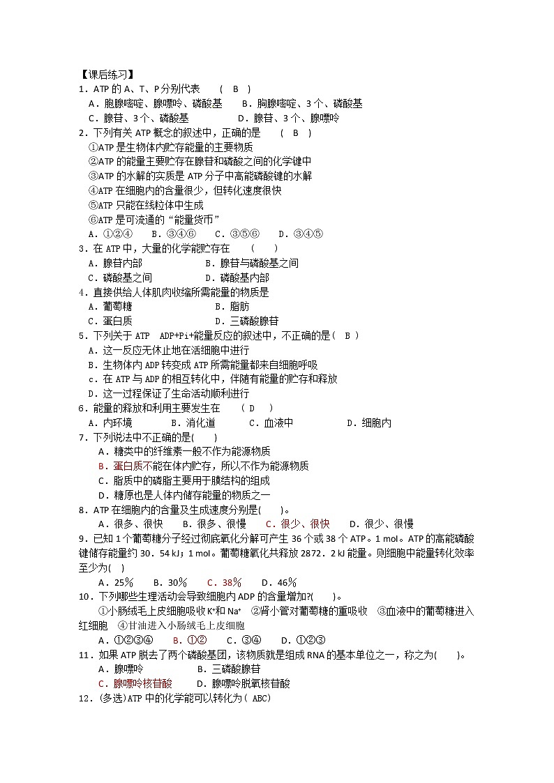 生物同步学案：5.2《细胞的能量“通货”—ATP》（新人教版必修1）02