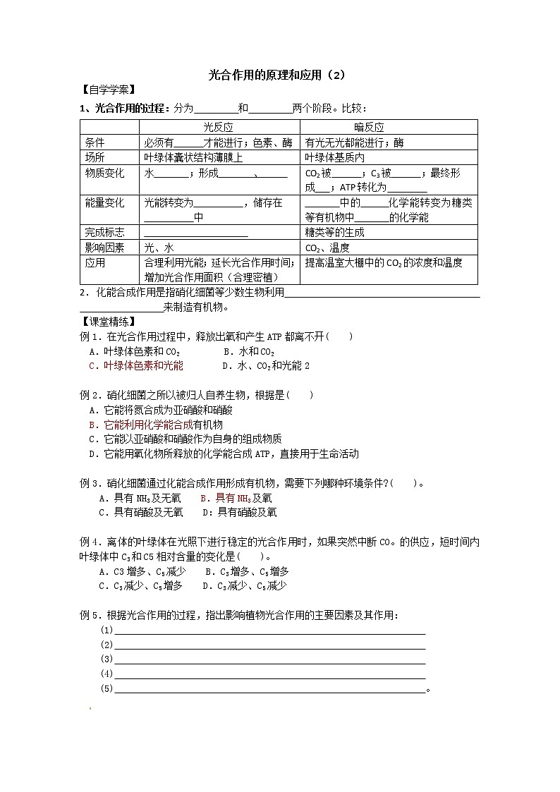 生物同步学案：5.4《光合作用的原理和应用》（2）（新人教版必修1）01