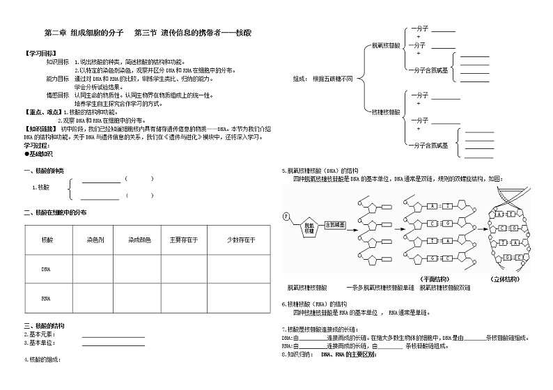 8.第二章 第三节 遗传信息的携带者——核酸（导学案）01