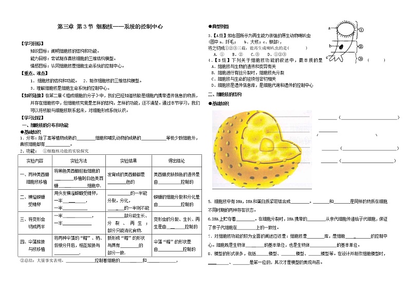 13.第三章 第一节  细胞核（导学案）01