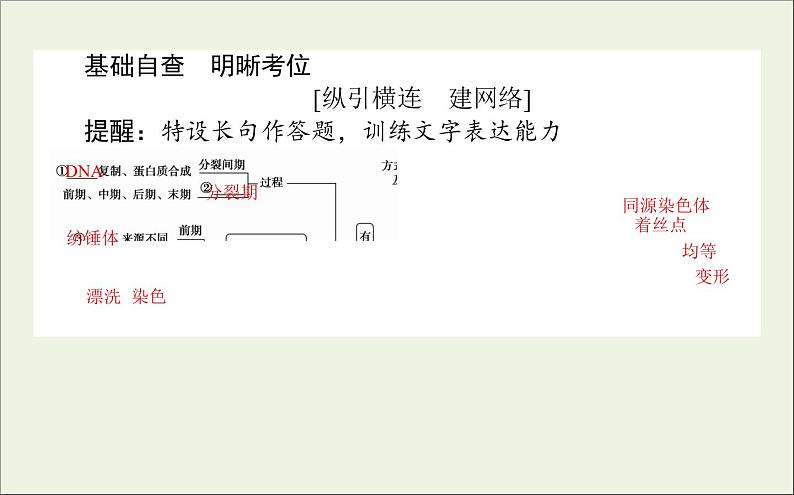 2021高考生物二轮复习3.1细胞增殖和受精作用课件03