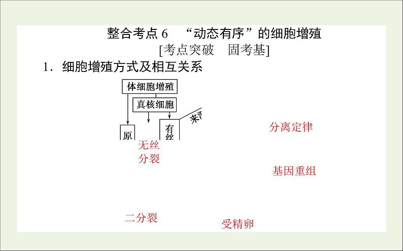 2021高考生物二轮复习3.1细胞增殖和受精作用课件06