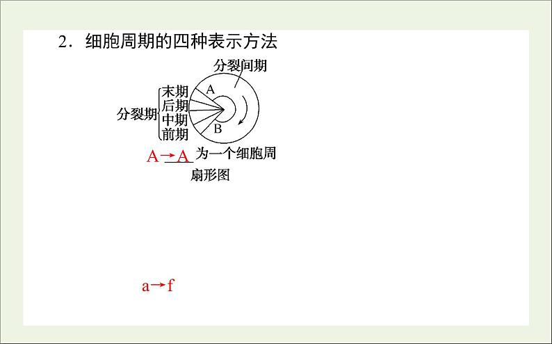 2021高考生物二轮复习3.1细胞增殖和受精作用课件07