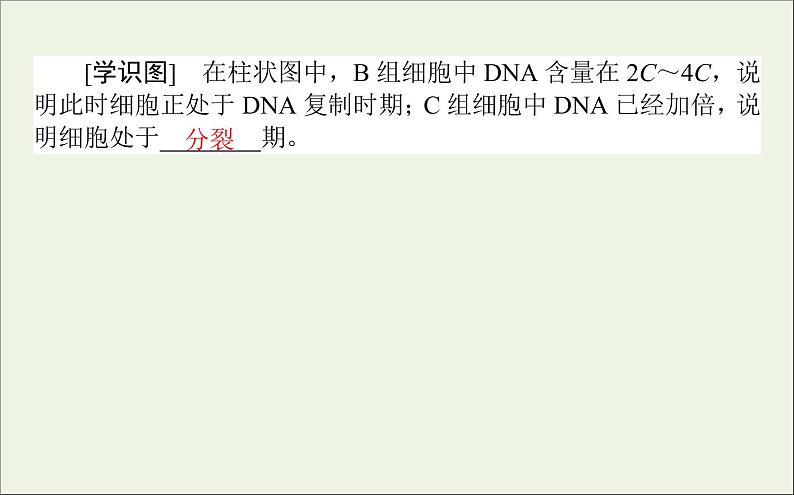 2021高考生物二轮复习3.1细胞增殖和受精作用课件08