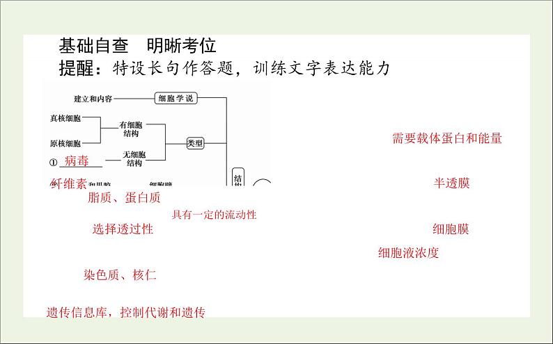 2021高考生物二轮复习1.2生命系统的结构基次件 课件03