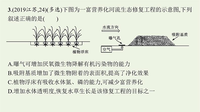 2021高考生物二轮复习第13讲生态系统与环境保护课件07