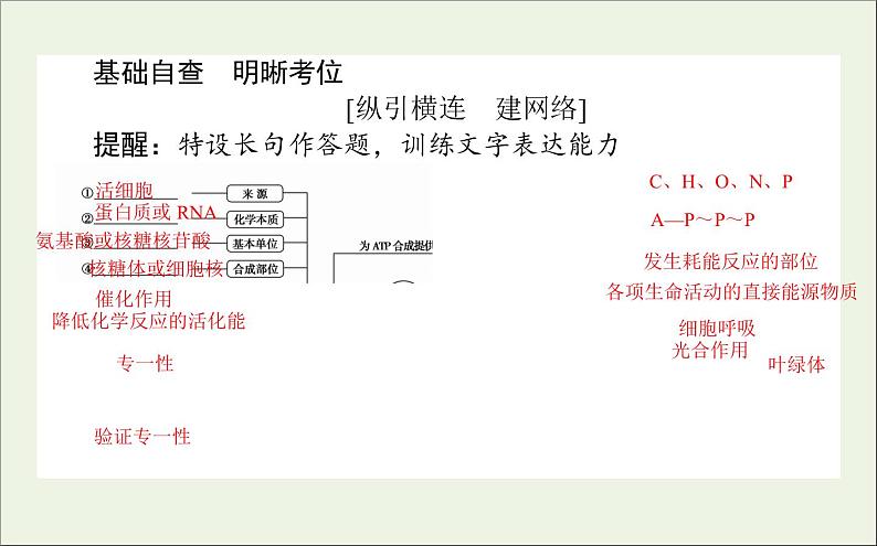 2021高考生物二轮复习2.1细胞内的酶和ATP课件03