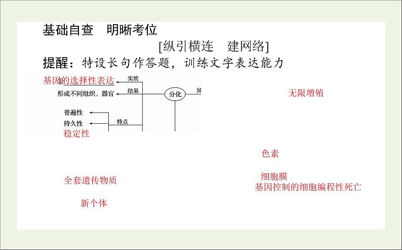 2021高考生物二轮复习3.2细胞的分化衰老凋亡和癌变课件02